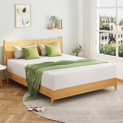 10 Inch Queen Mattress, Memory Foam Mattress in a Box with Cooling Green Tea Gel, Relieve Pressure with Medium Firm